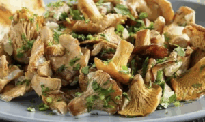 #Poêlée de Girolles fraiches  (15 min à 150°c recouvert d'alu)